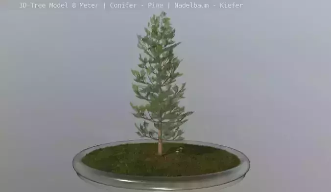 Pine Conifer - Tree 8 Meter Low-poly 3D model