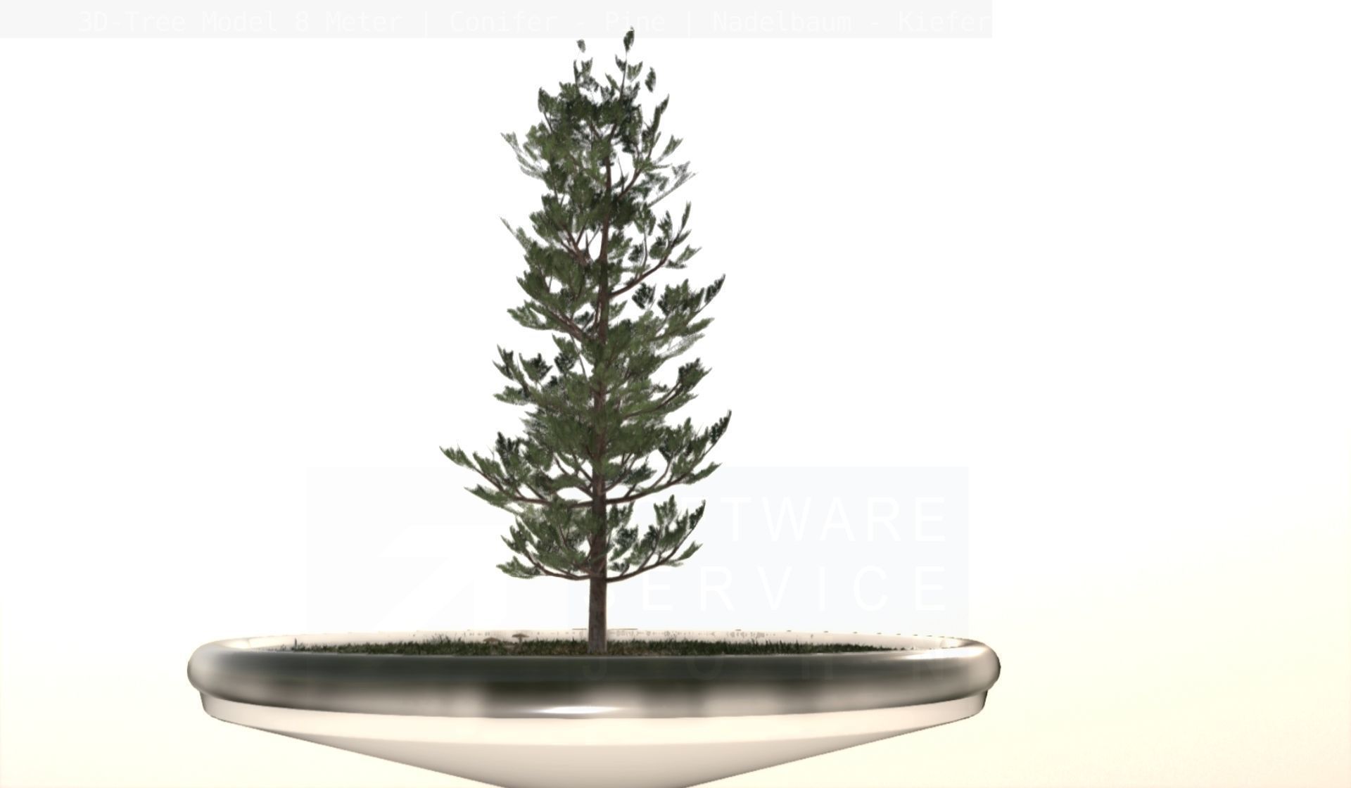 Pine Conifer - Tree 8 Meter Low-poly 3D model_1