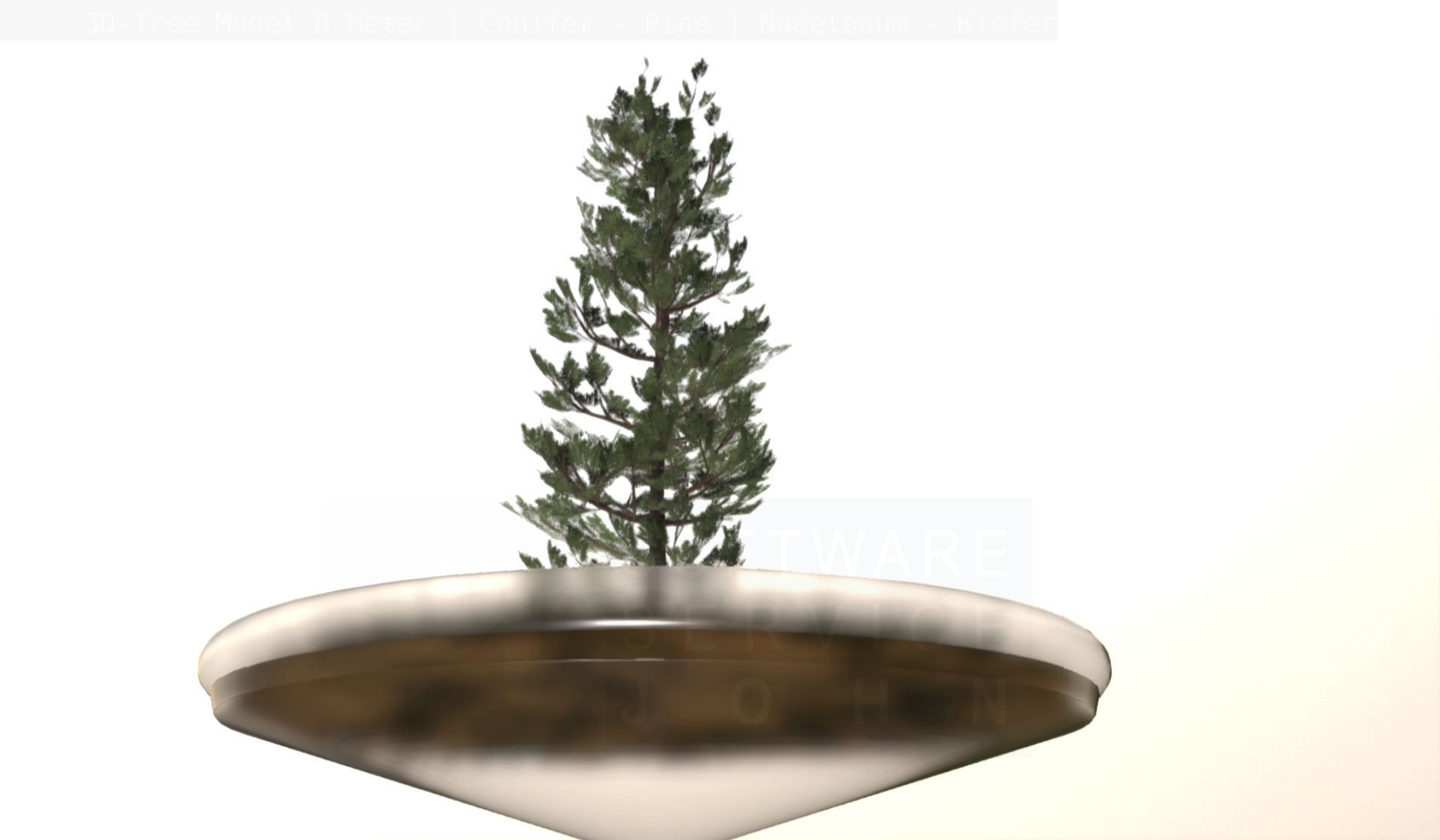 Pine Conifer - Tree 8 Meter Low-poly 3D model_132