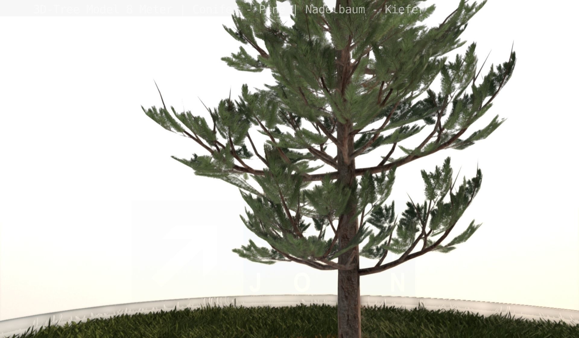 Pine Conifer - Tree 8 Meter Low-poly 3D model_48
