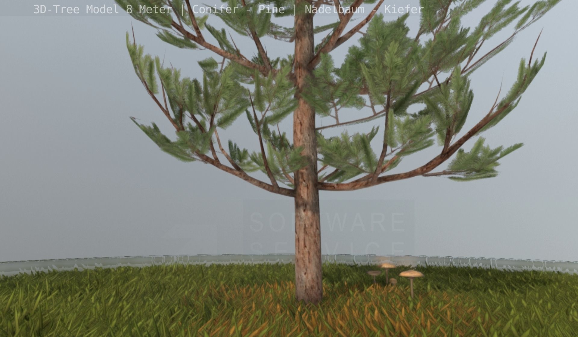 Pine Conifer - Tree 8 Meter Low-poly 3D model_135
