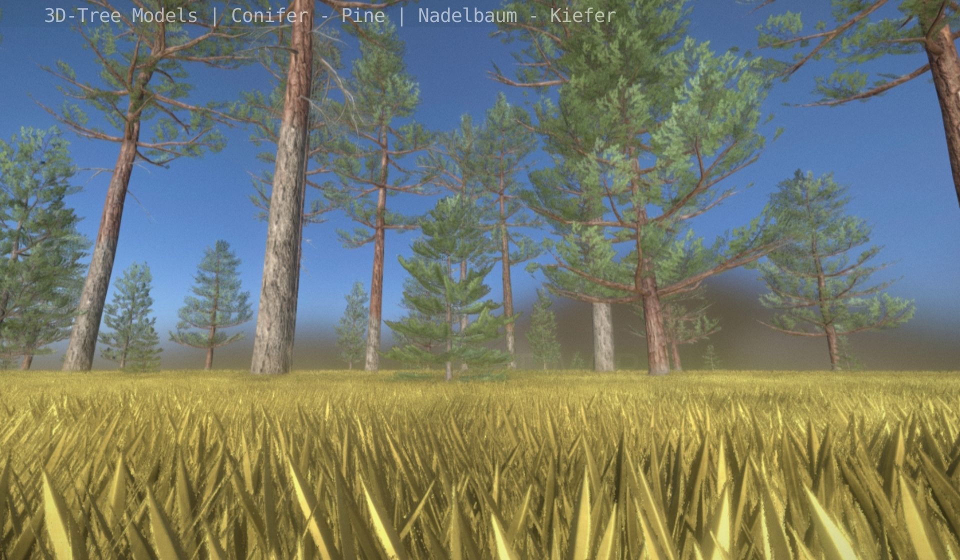 Pine Conifer - Tree 8 Meter Low-poly 3D model_36