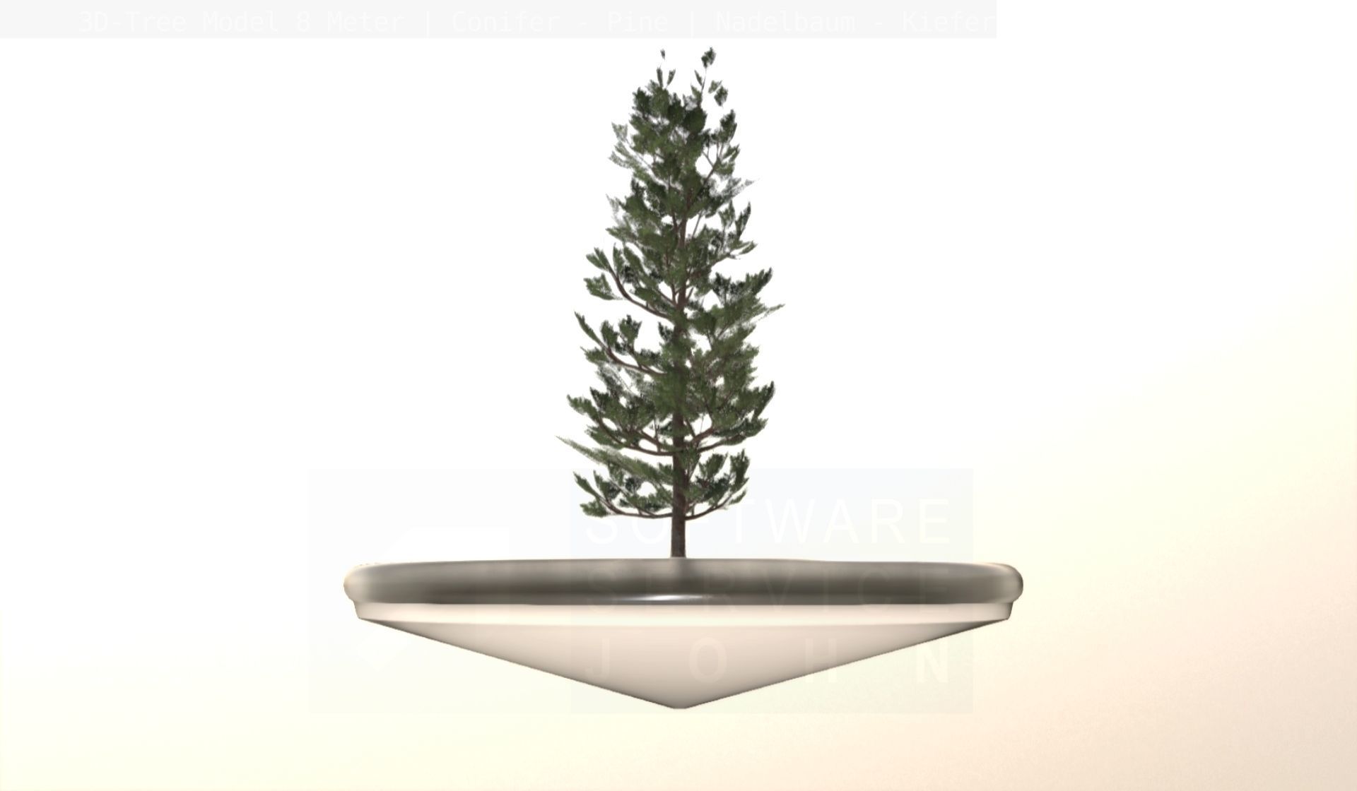 Pine Conifer - Tree 8 Meter Low-poly 3D model_54