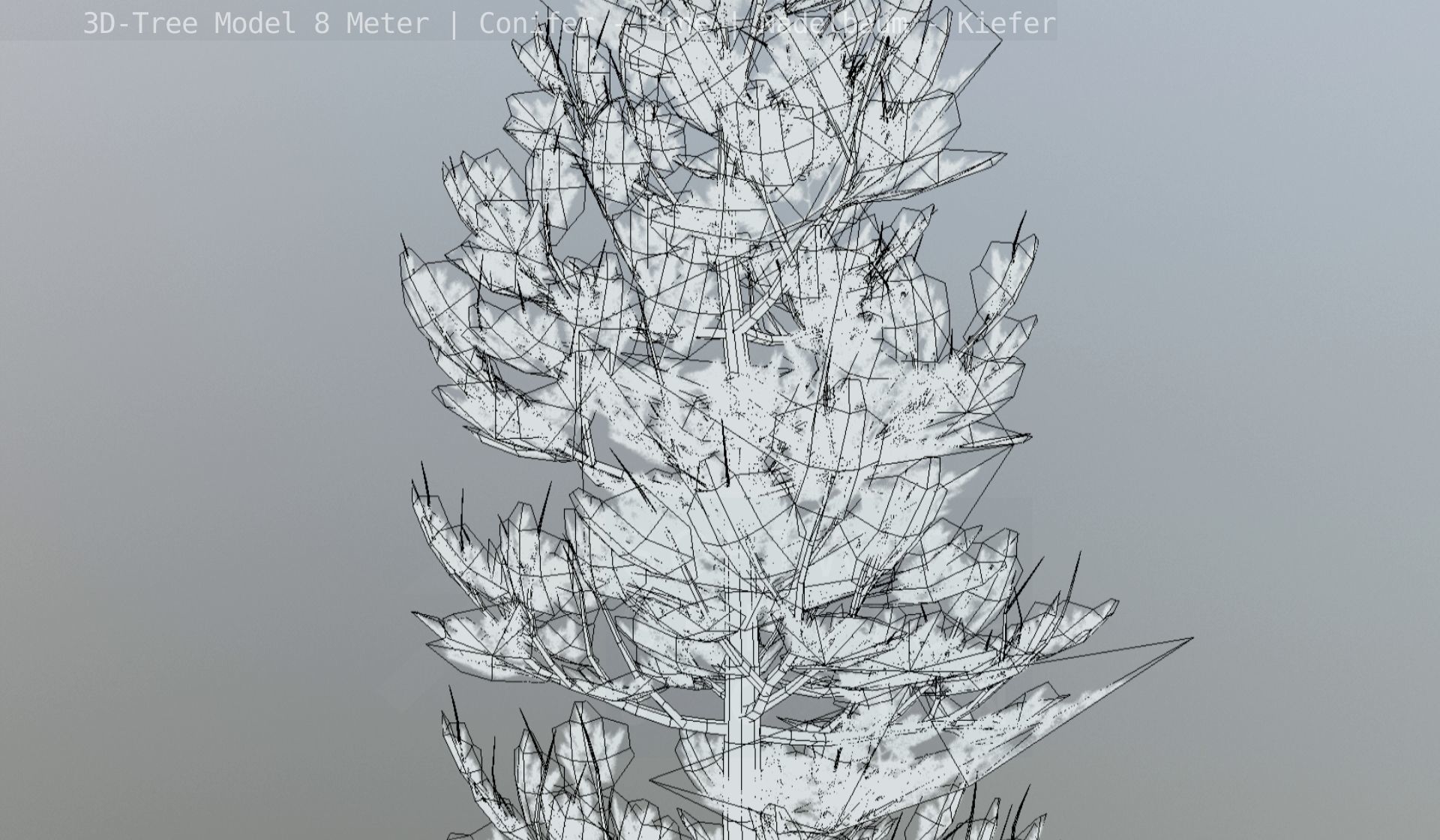 Pine Conifer - Tree 8 Meter Low-poly 3D model_134