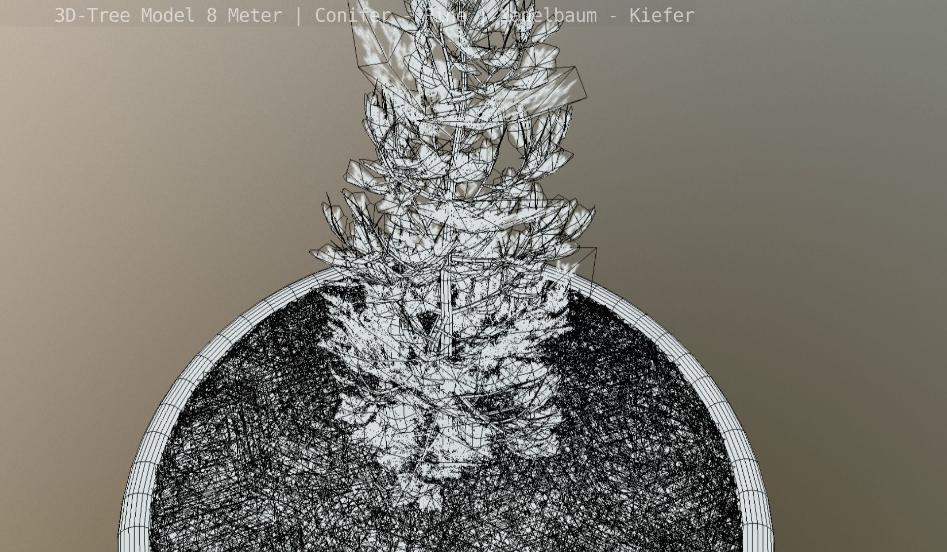 Pine Conifer - Tree 8 Meter Low-poly 3D model_138