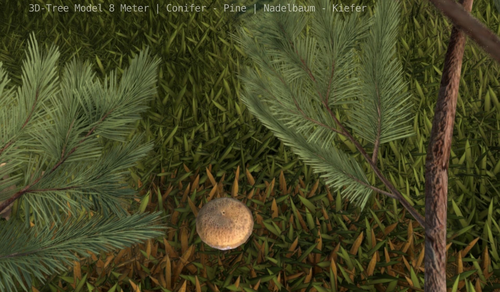 Pine Conifer - Tree 8 Meter Low-poly 3D model_66