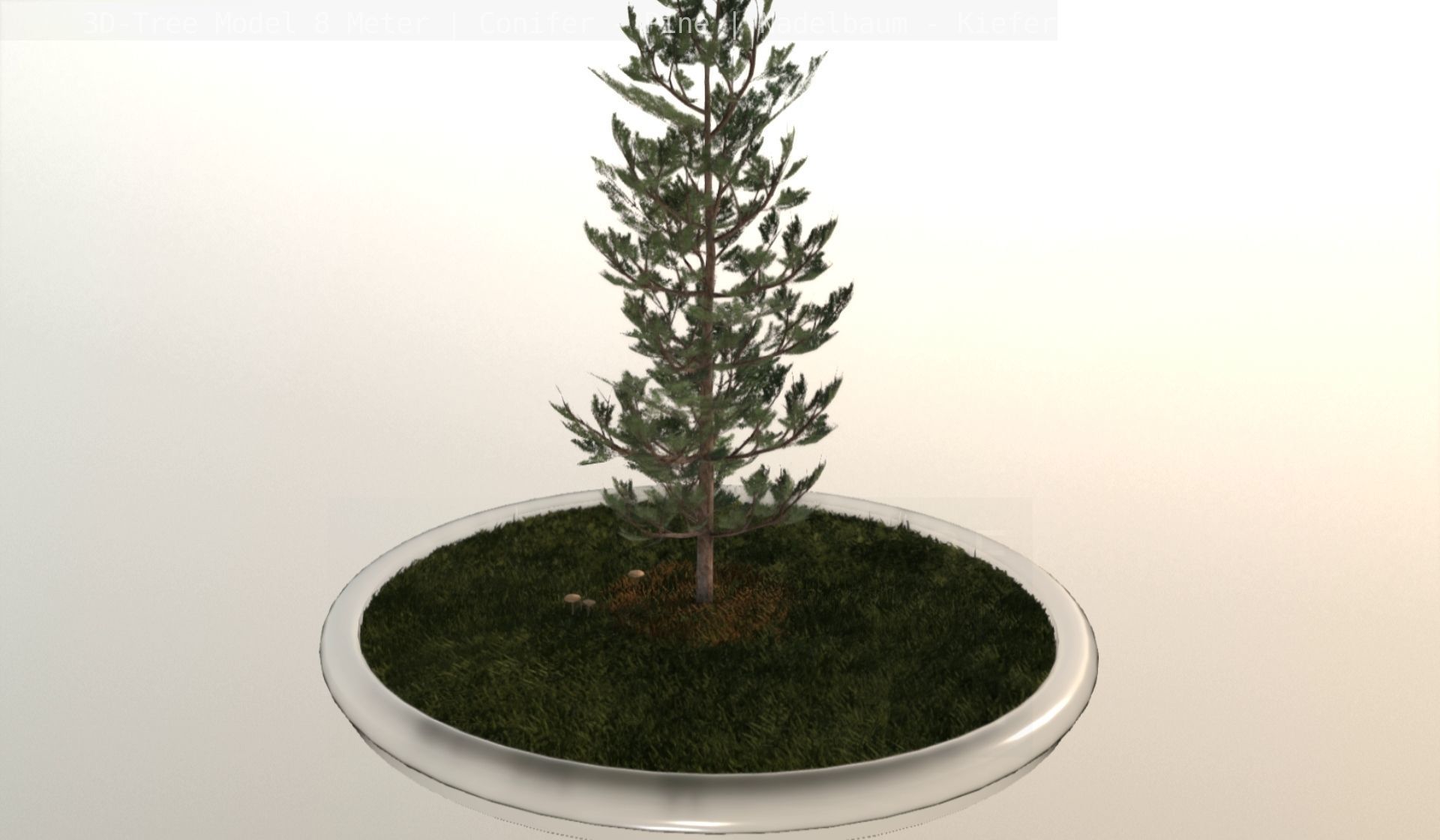 Pine Conifer - Tree 8 Meter Low-poly 3D model_21