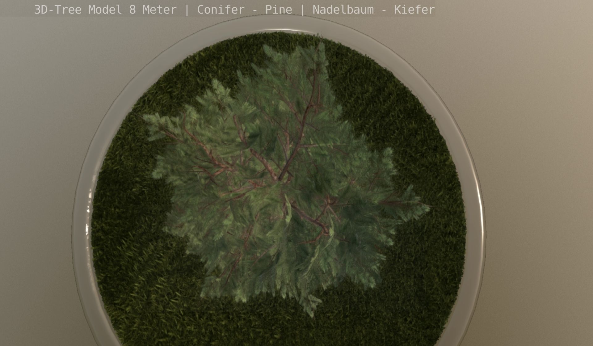 Pine Conifer - Tree 8 Meter Low-poly 3D model_112