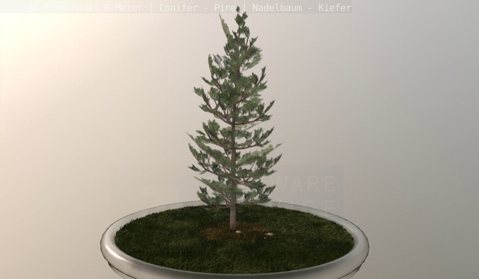 Pine Conifer - Tree 8 Meter Low-poly 3D model_105