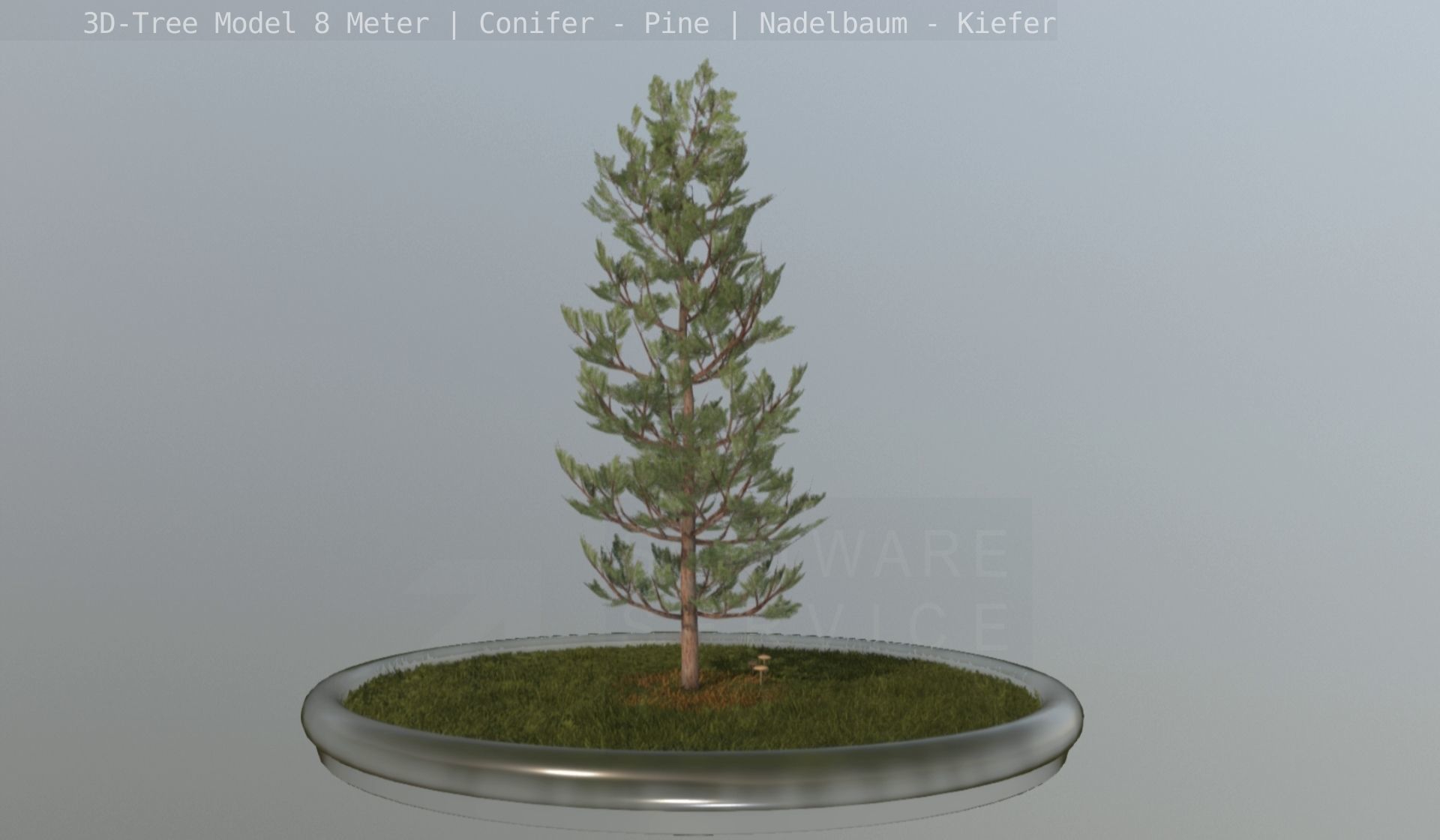 Pine Conifer - Tree 8 Meter Low-poly 3D model_18