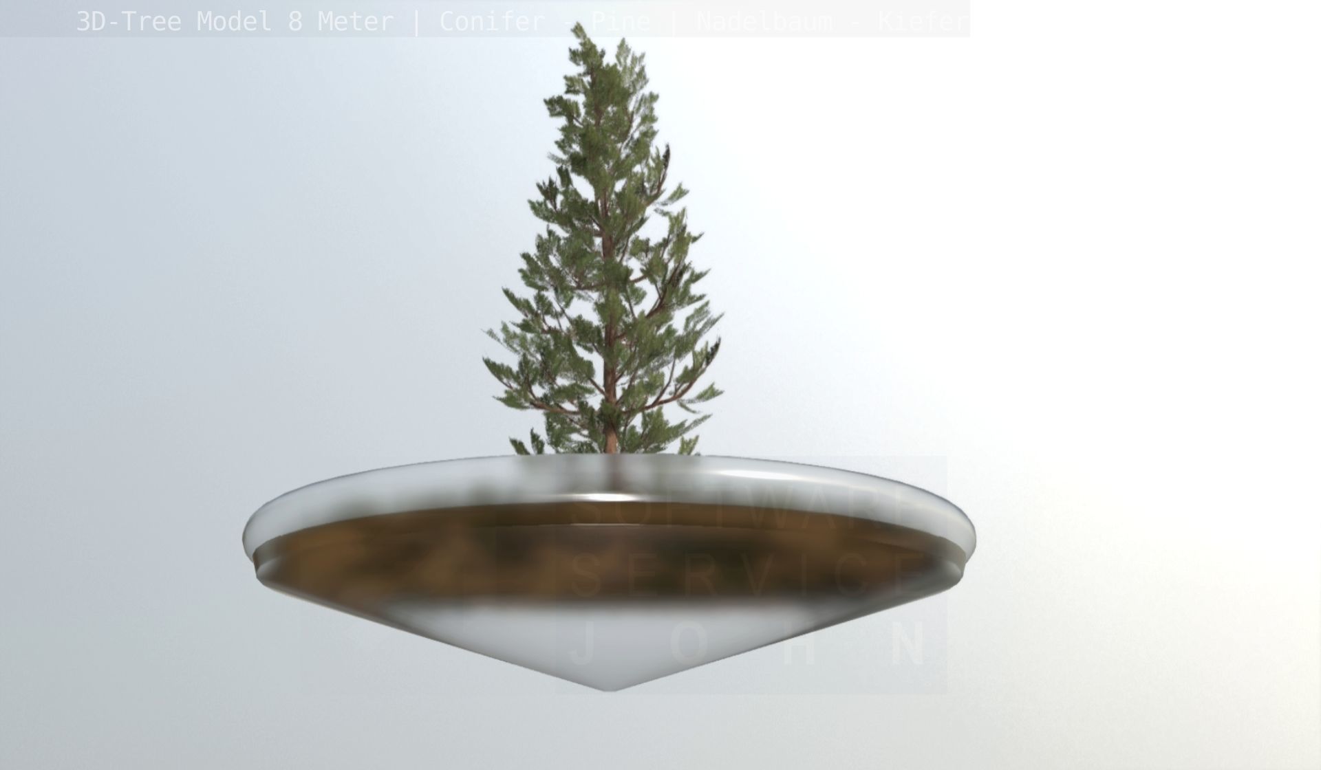 Pine Conifer - Tree 8 Meter Low-poly 3D model_24