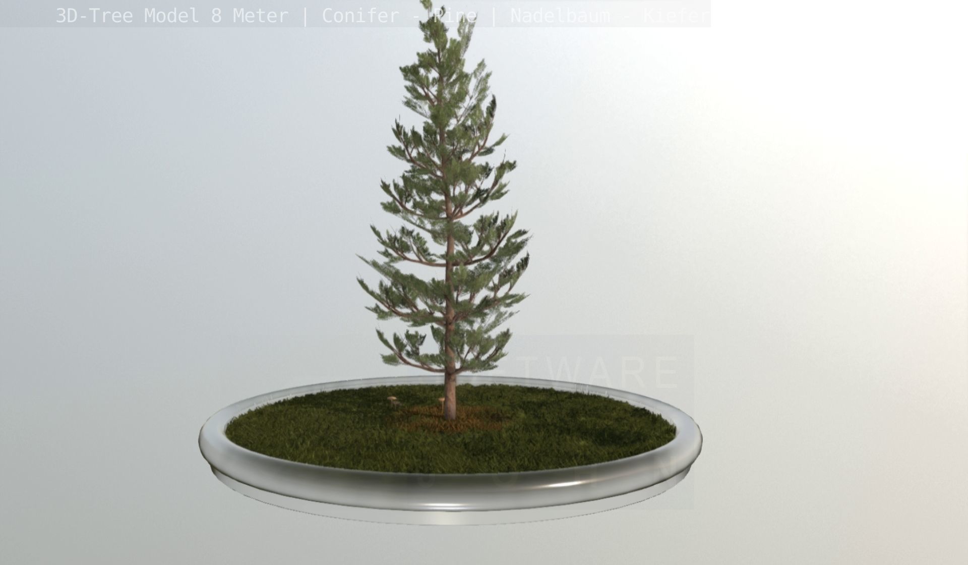 Pine Conifer - Tree 8 Meter Low-poly 3D model_23