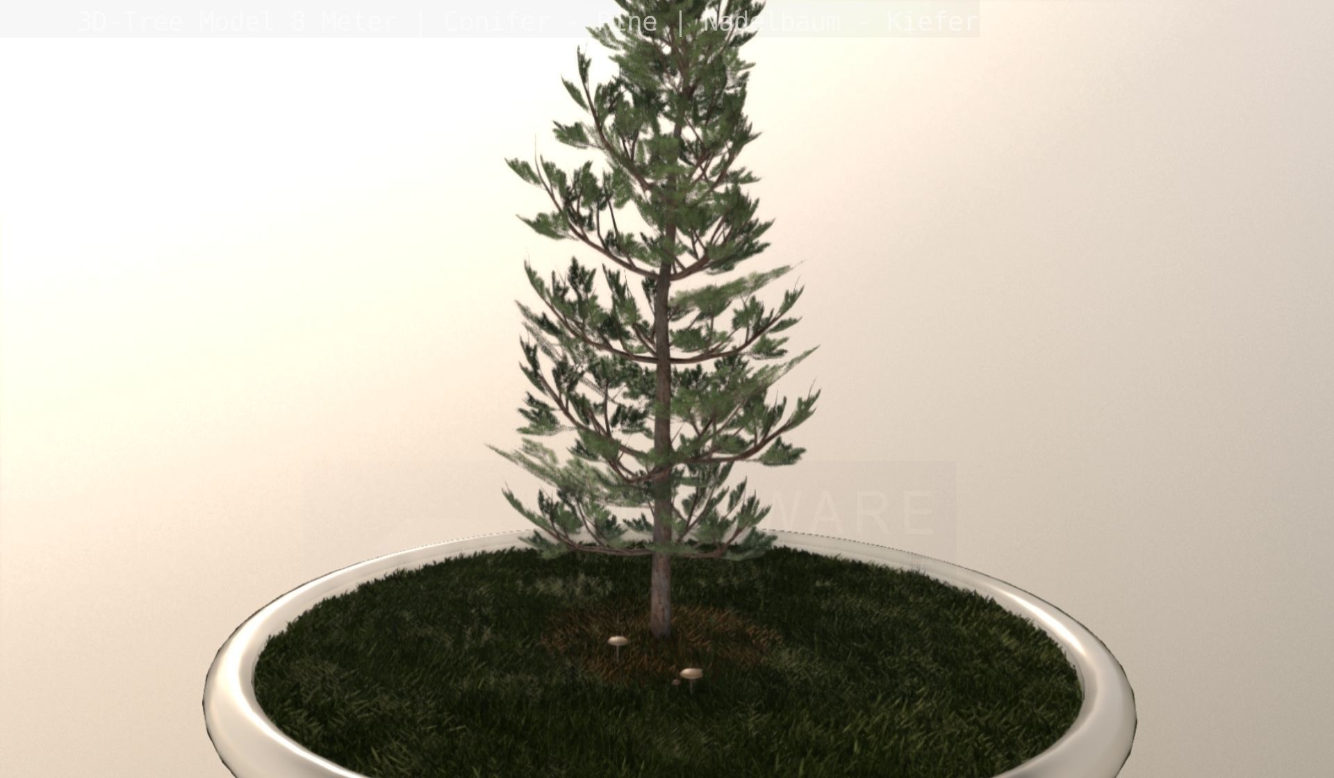 Pine Conifer - Tree 8 Meter Low-poly 3D model_29