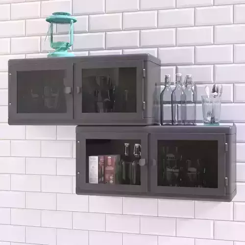 RASKOG Wall cabinet 3D model