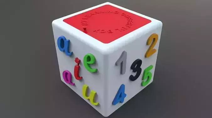 Didactic Cube