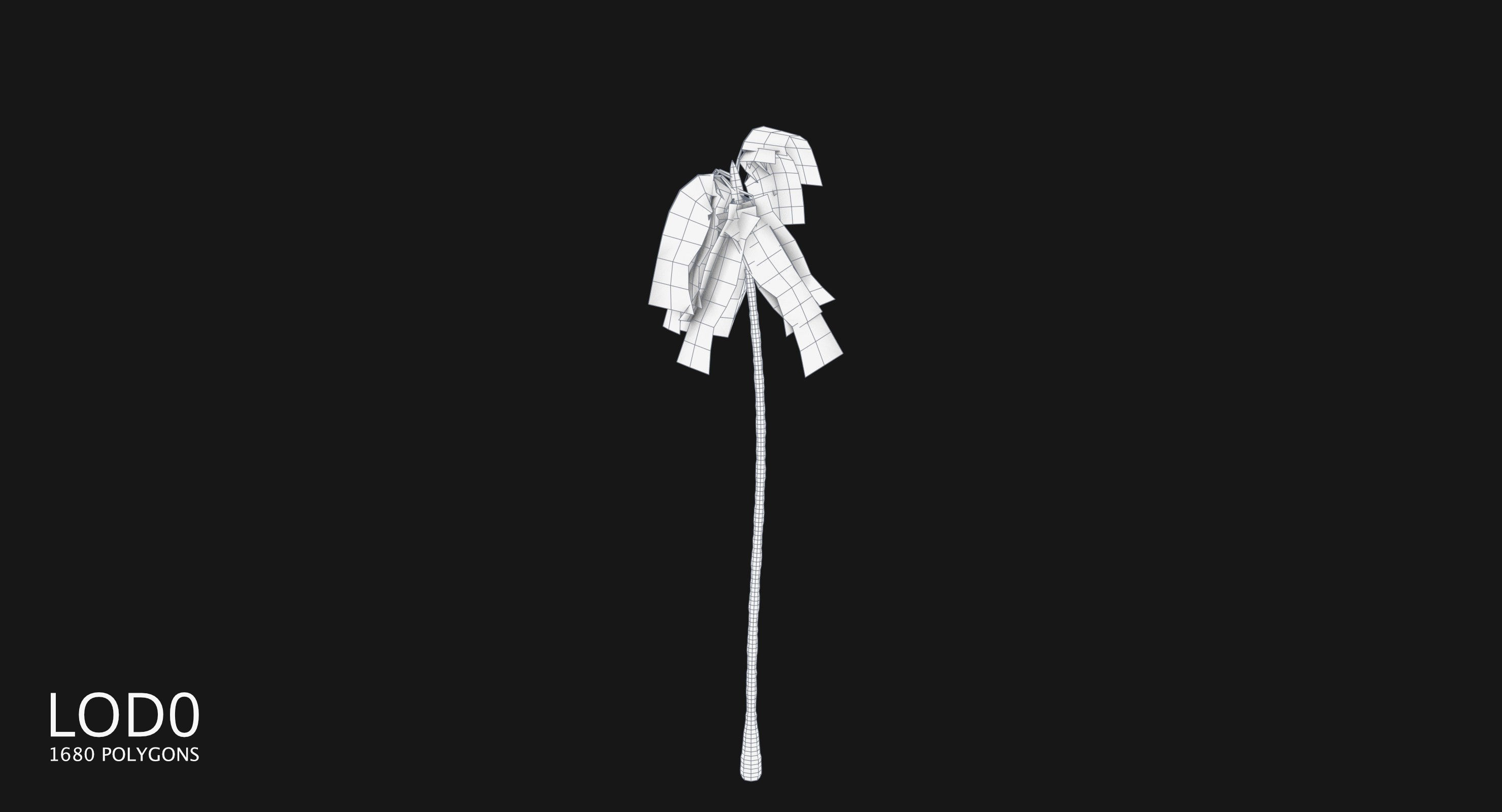 Coconut Palm Tree 3698-4 Low-poly 3D model_9