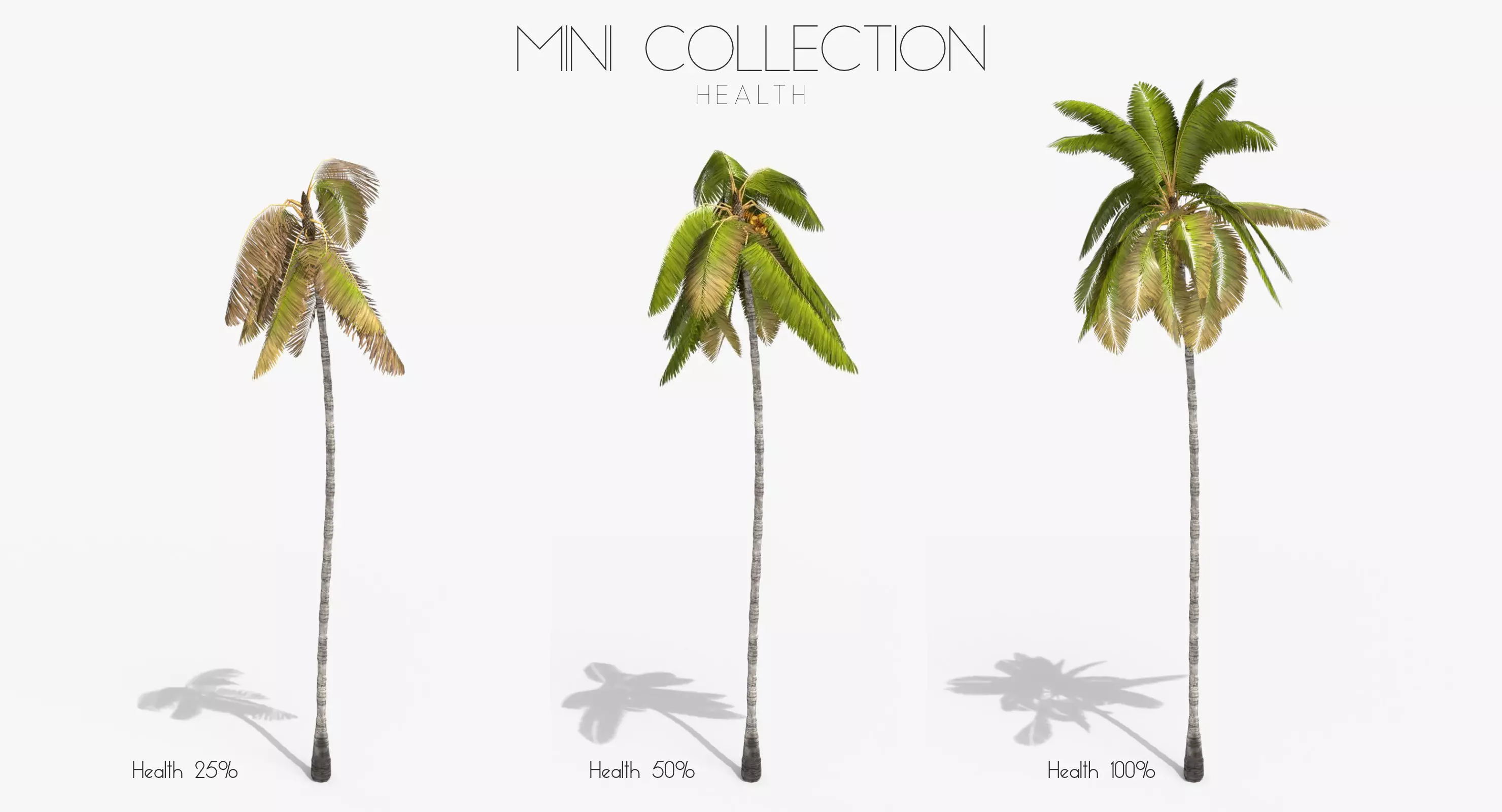 Coconut Palm Tree 3698 - Health Collection Low-poly 3D model_0