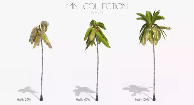 Coconut Palm Tree 3698 - Health Collection Low-poly 3D model