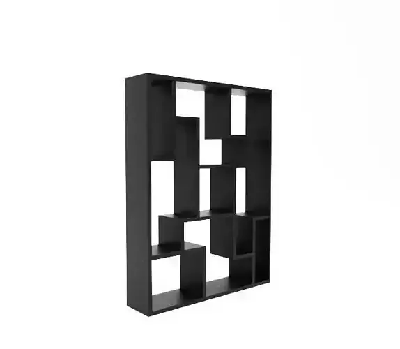 Puzzled Bookcase  