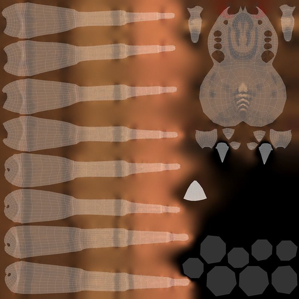 Domestic Spider - Tegenaria Domestica Low-poly 3D model_12