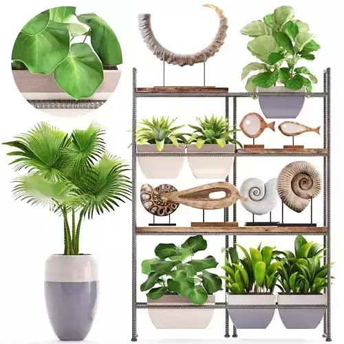 rack with the decor of figurines and plants 3D model