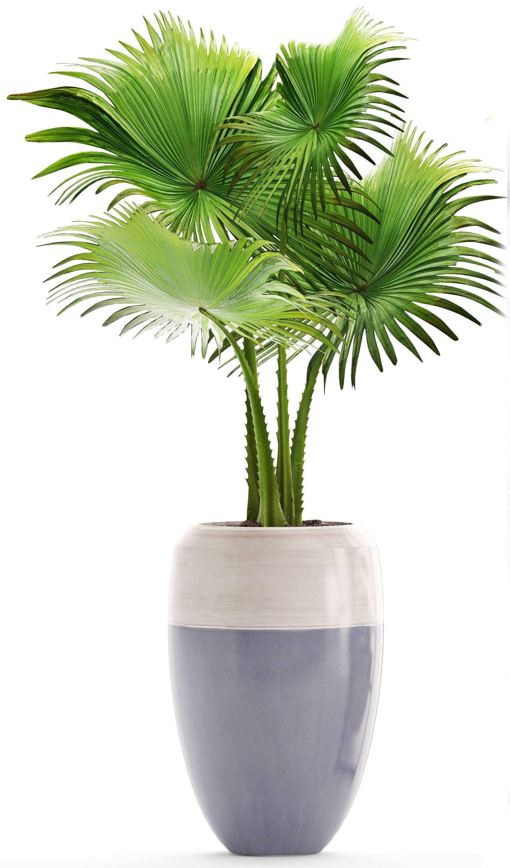 rack with the decor of figurines and plants 3D model_4