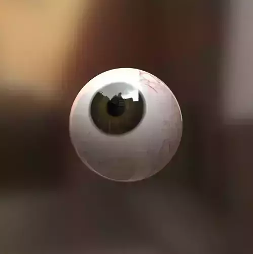 Eyeball 
