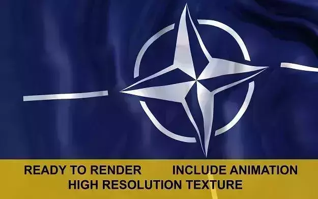 NATO 3d Flag 3D model