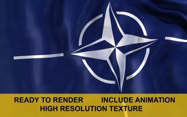 NATO 3d Flag 3D model_0