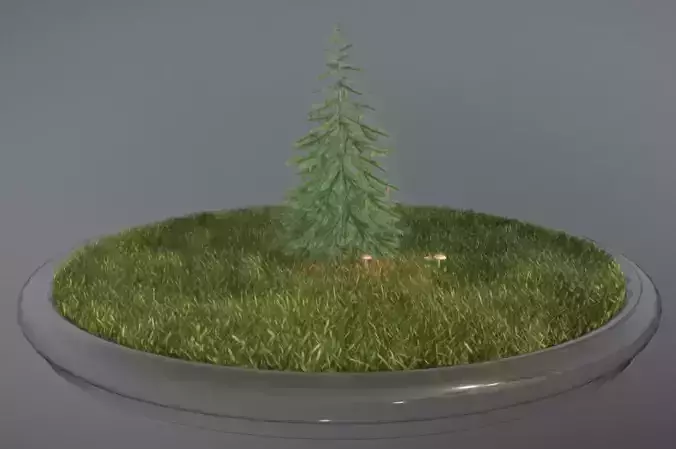 Conifer Tree Spruce - 4 Meter