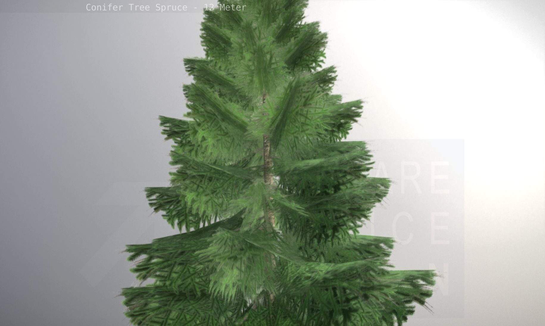 Conifer Tree Spruce - 12 Meter Low-poly 3D model_49