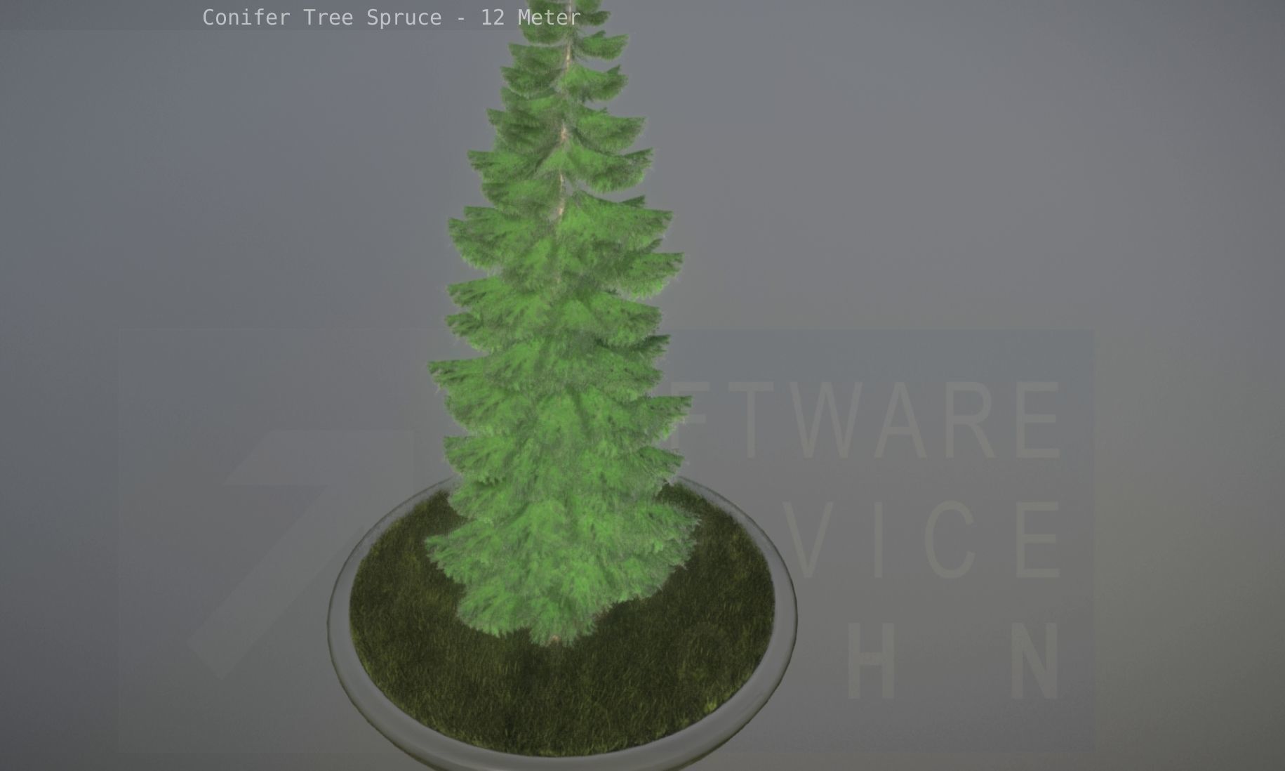 Conifer Tree Spruce - 12 Meter Low-poly 3D model_38