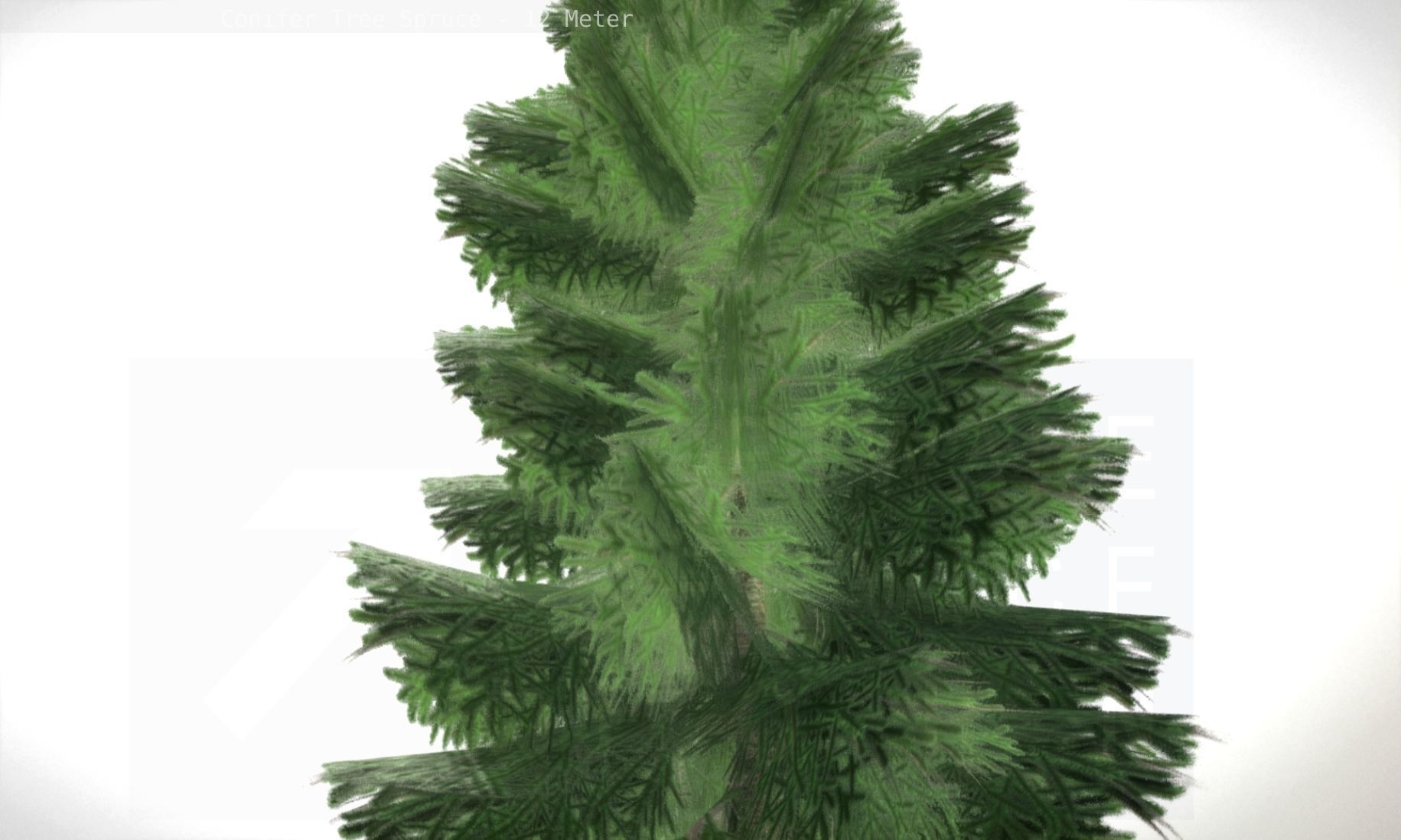 Conifer Tree Spruce - 12 Meter Low-poly 3D model_98