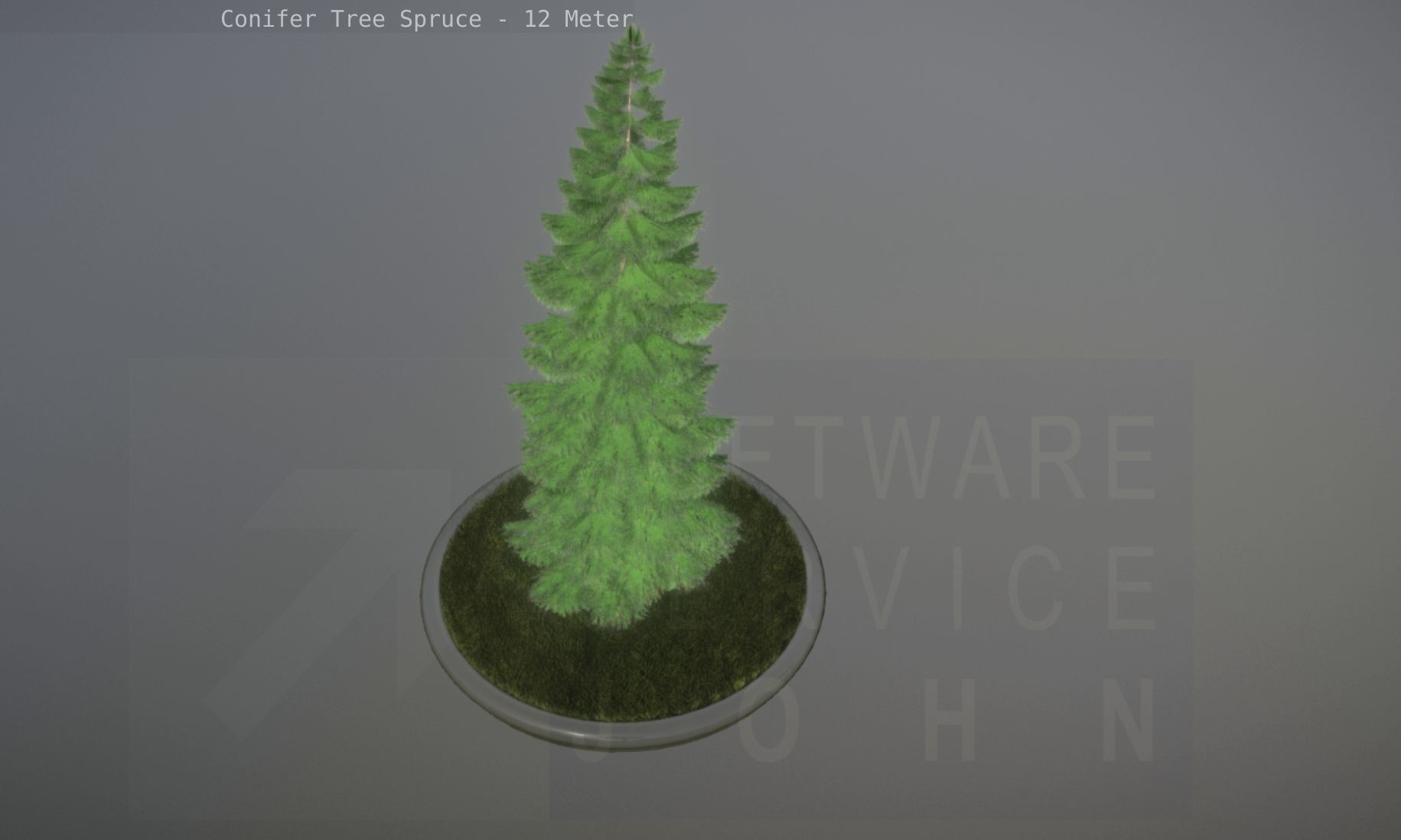 Conifer Tree Spruce - 12 Meter Low-poly 3D model_40