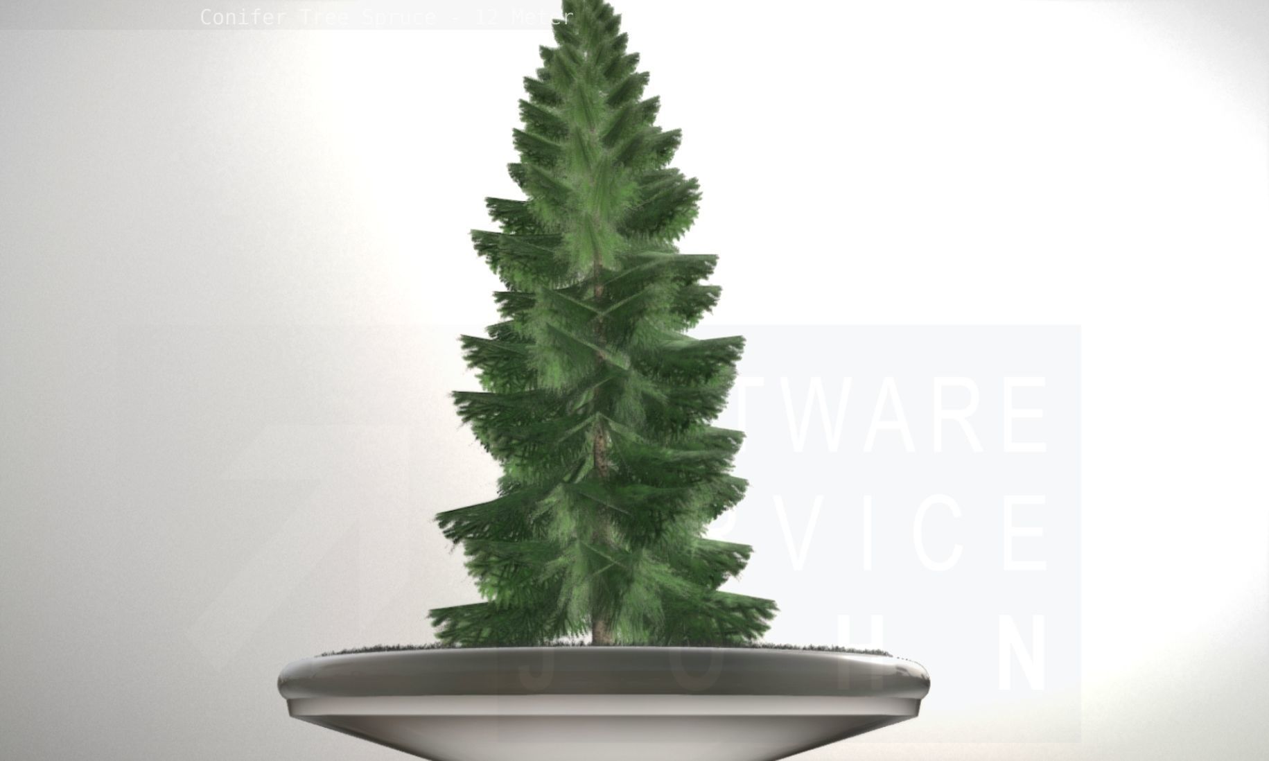 Conifer Tree Spruce - 12 Meter Low-poly 3D model_37