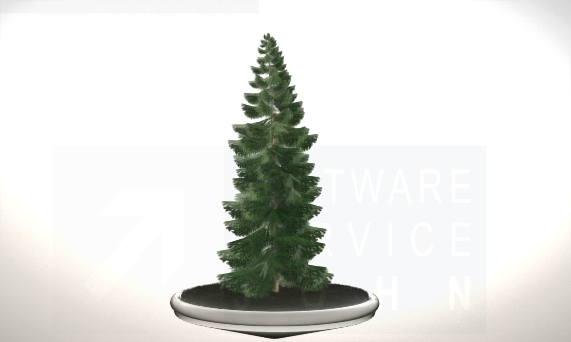 Conifer Tree Spruce - 12 Meter Low-poly 3D model_4