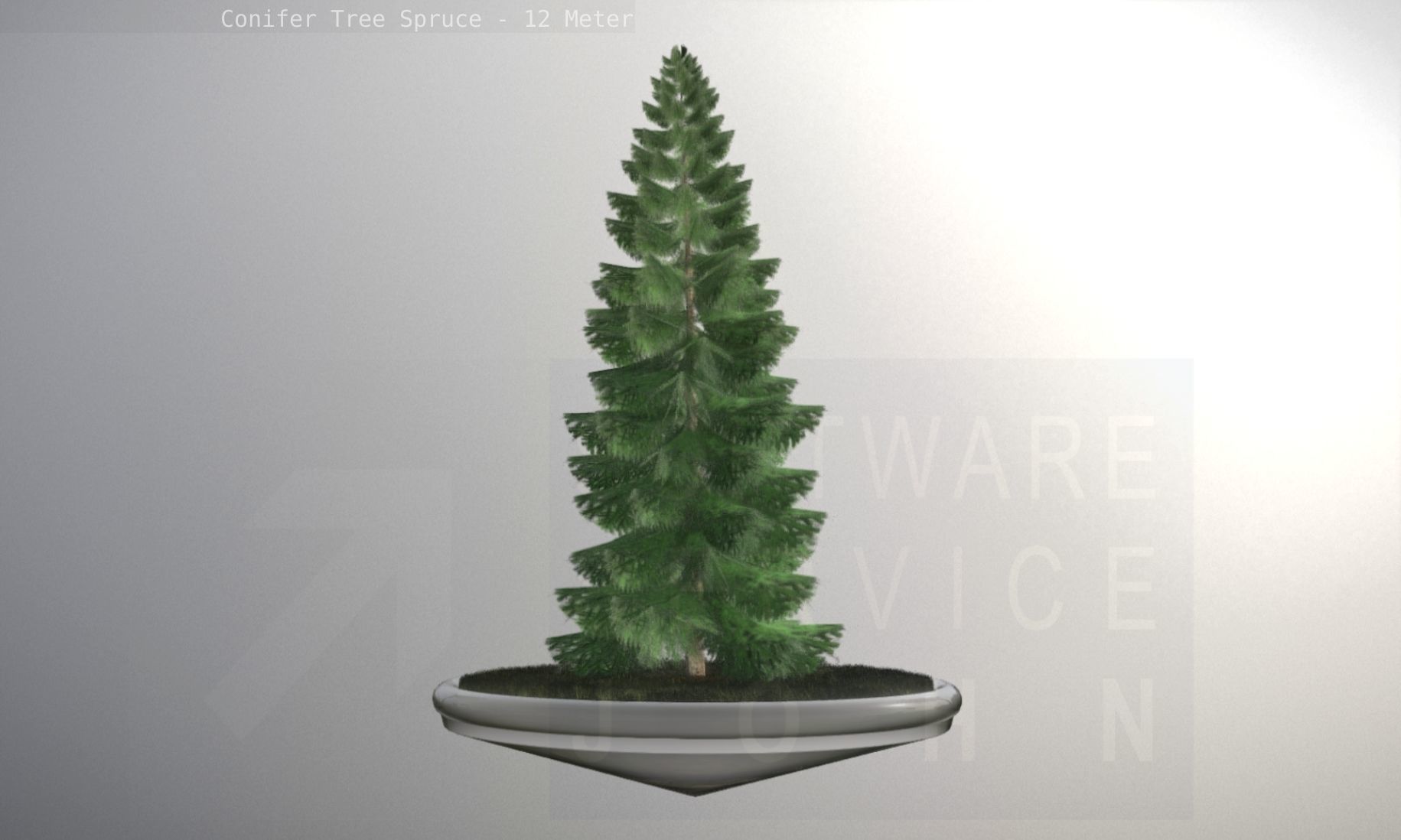 Conifer Tree Spruce - 12 Meter Low-poly 3D model_53