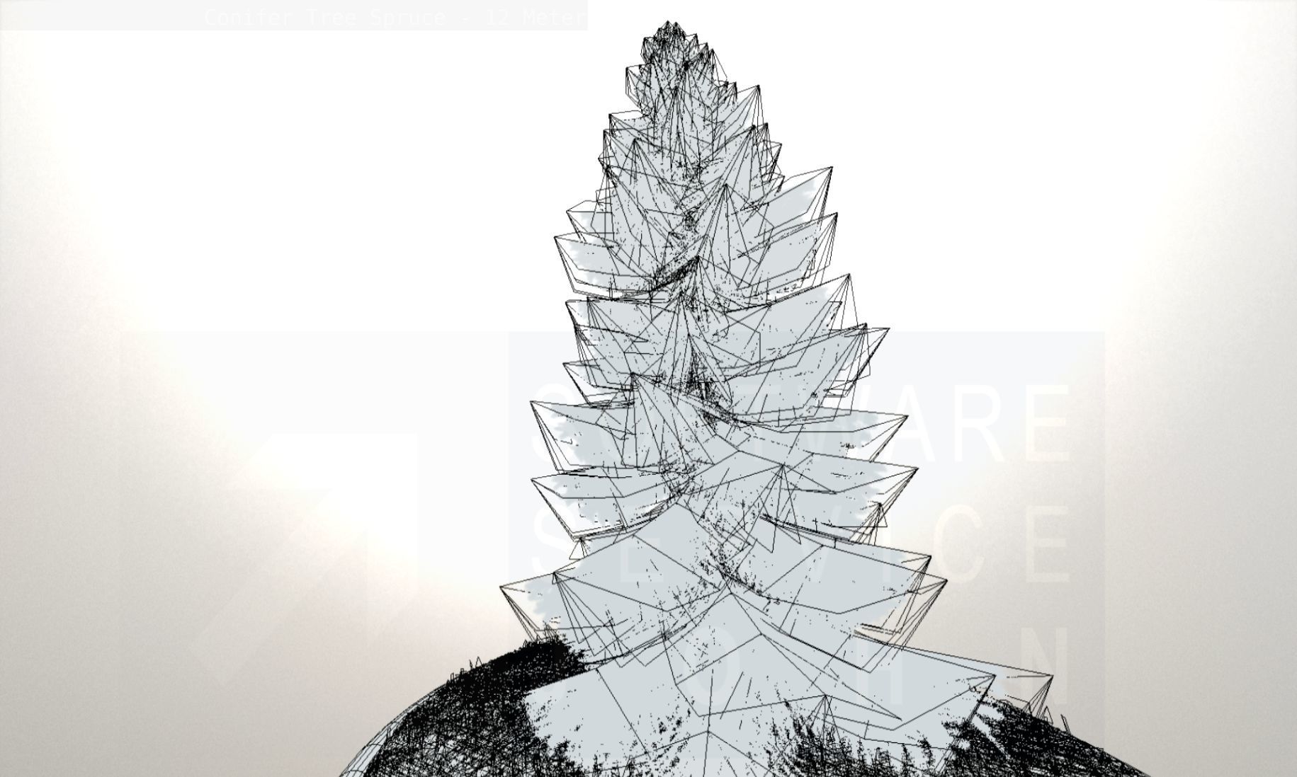 Conifer Tree Spruce - 12 Meter Low-poly 3D model_111