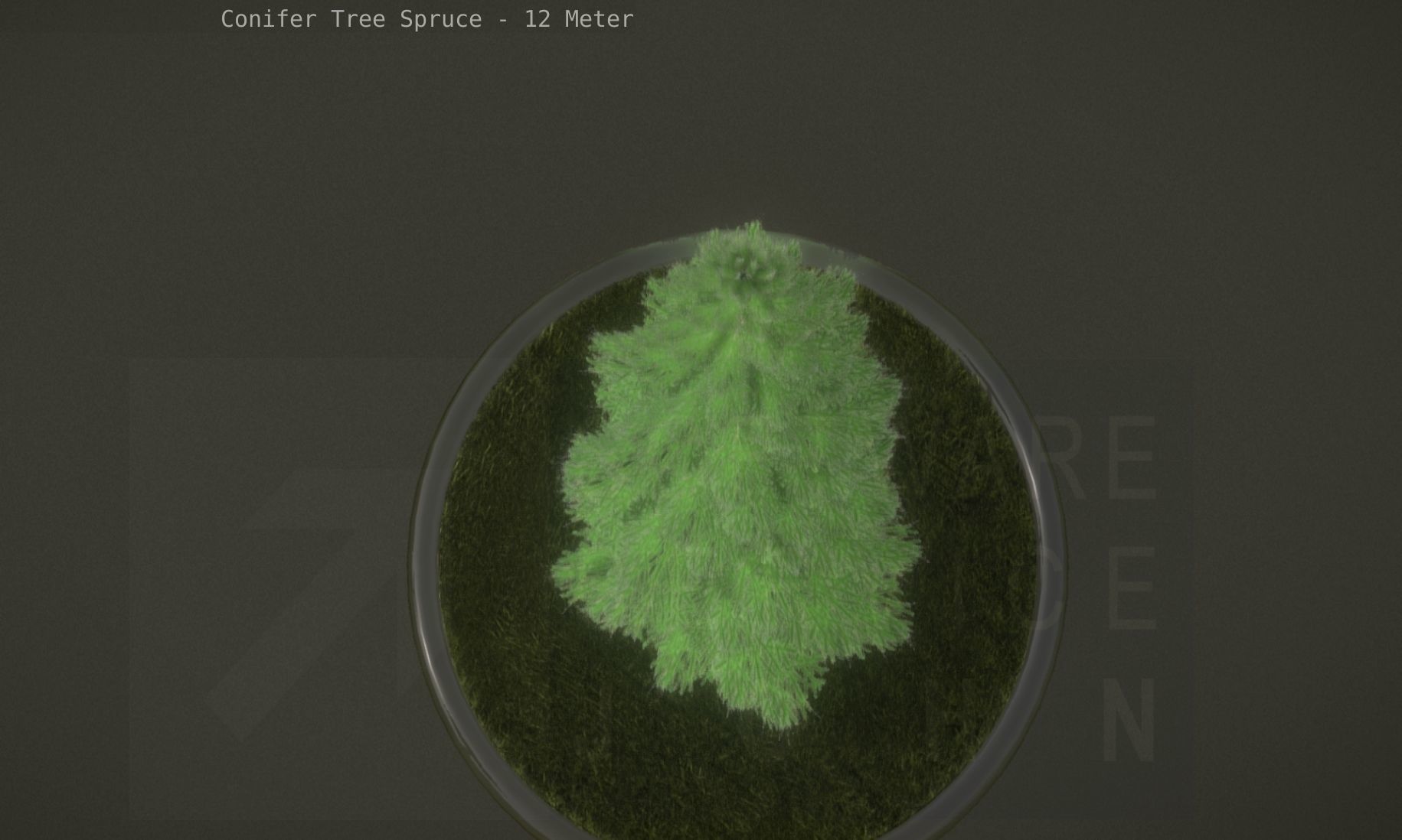Conifer Tree Spruce - 12 Meter Low-poly 3D model_74