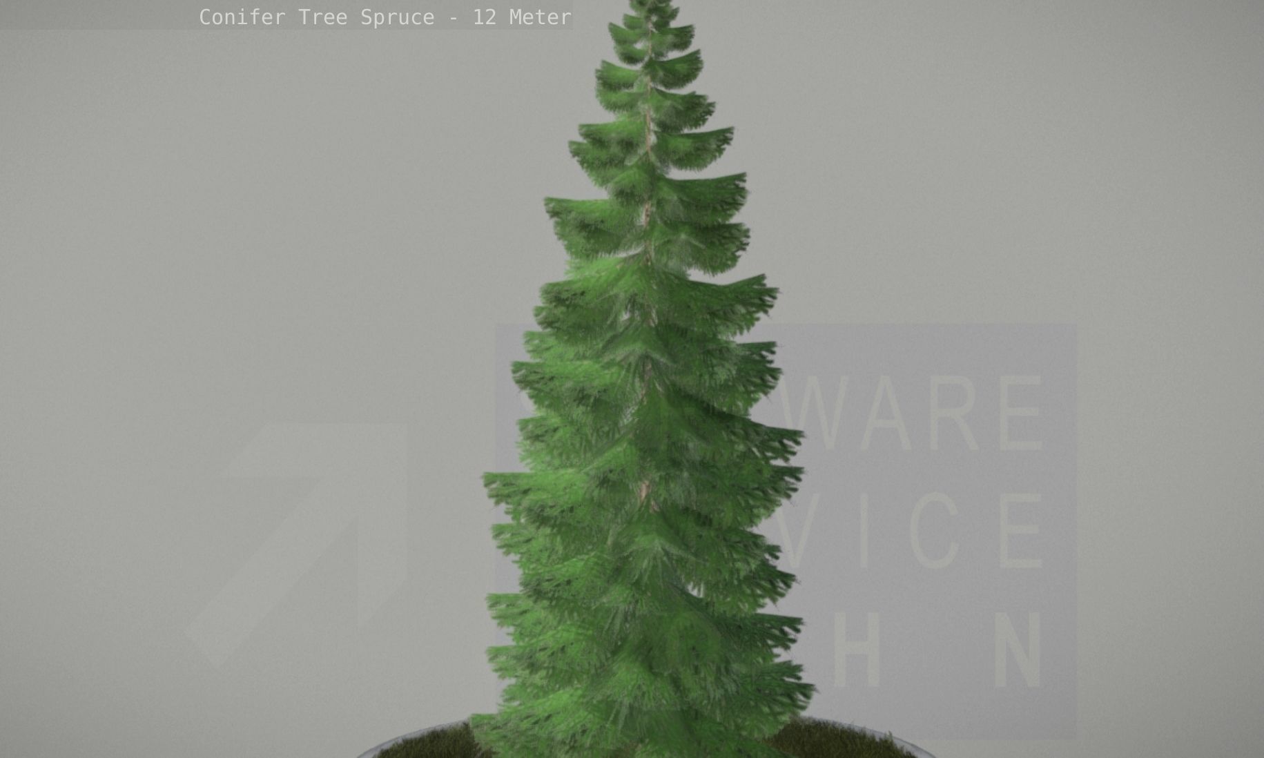 Conifer Tree Spruce - 12 Meter Low-poly 3D model_71