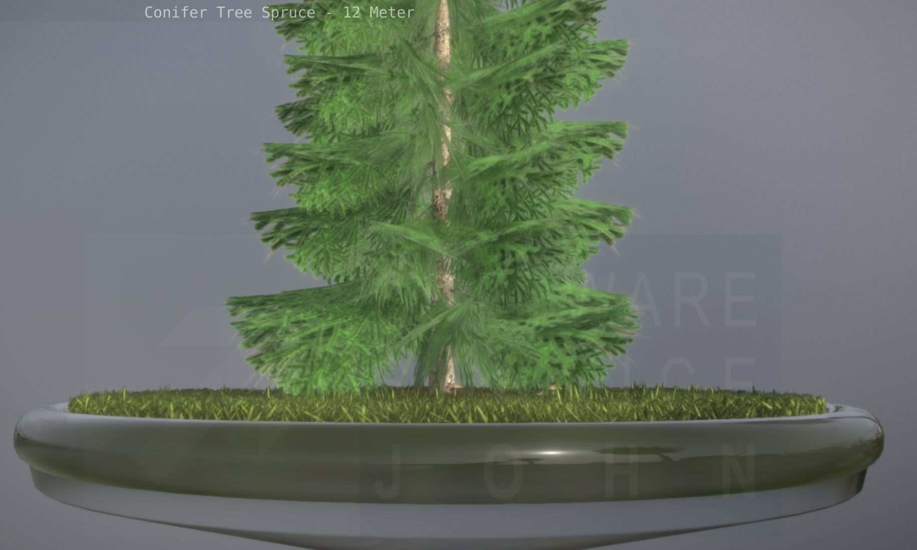 Conifer Tree Spruce - 12 Meter Low-poly 3D model_58