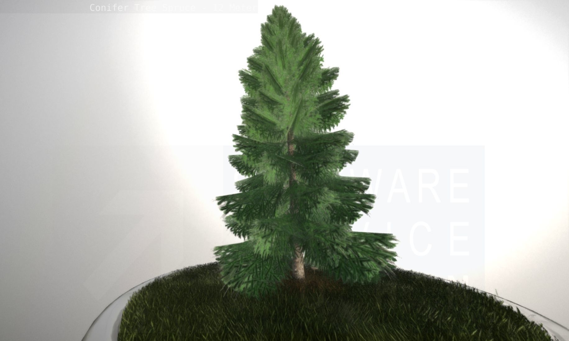 Conifer Tree Spruce - 12 Meter Low-poly 3D model_15