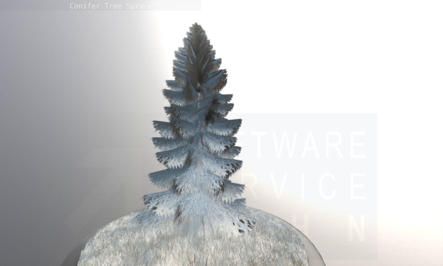 Conifer Tree Spruce - 12 Meter Low-poly 3D model_127