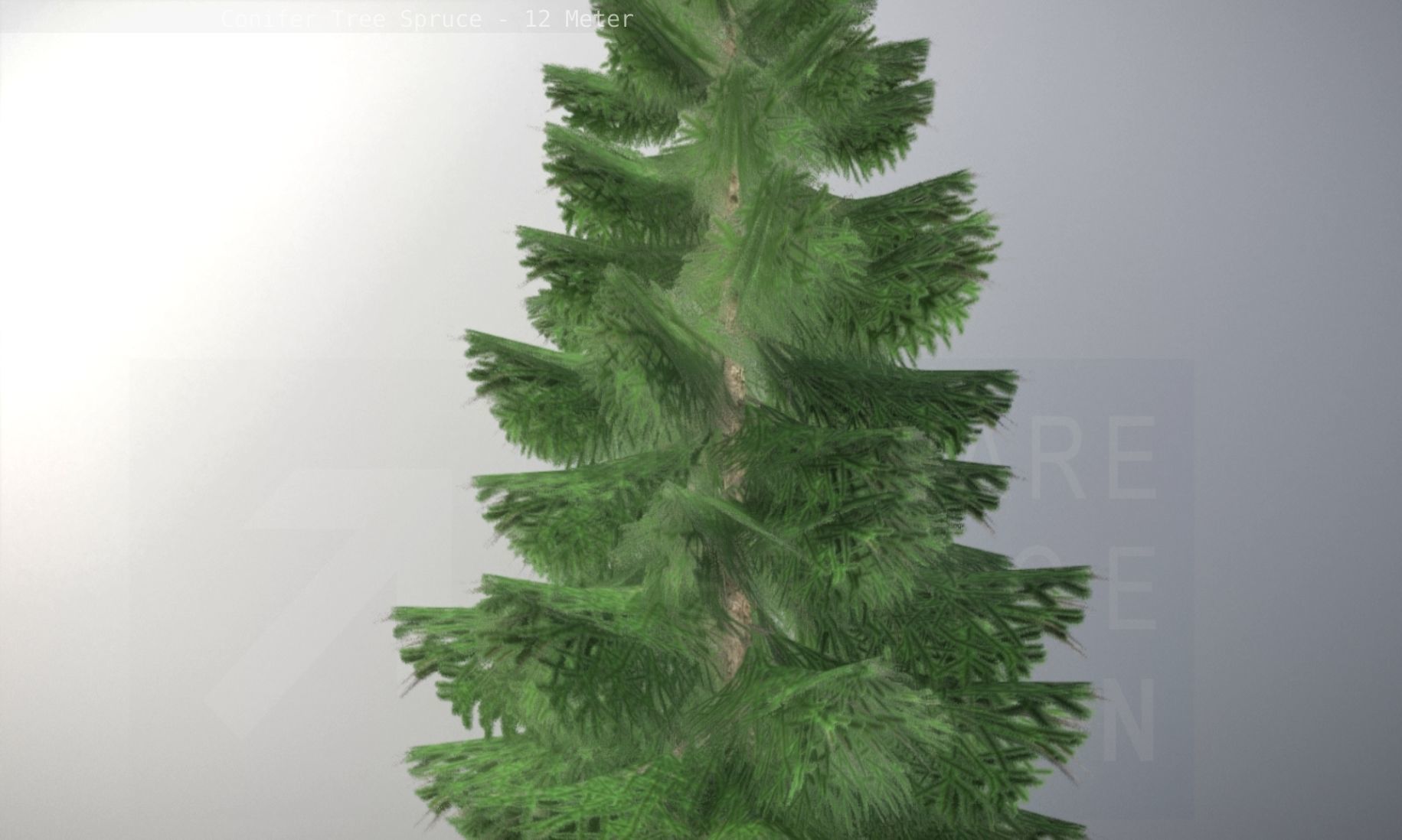 Conifer Tree Spruce - 12 Meter Low-poly 3D model_86