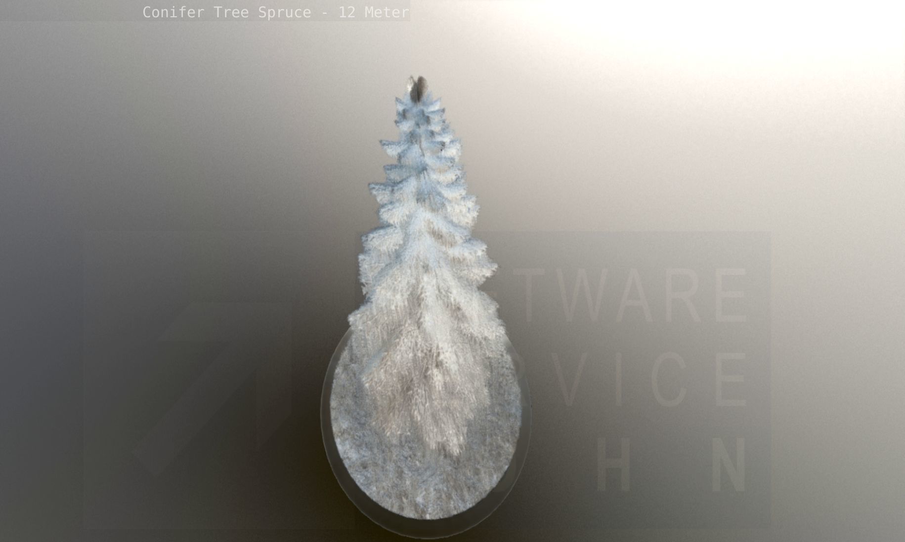 Conifer Tree Spruce - 12 Meter Low-poly 3D model_129