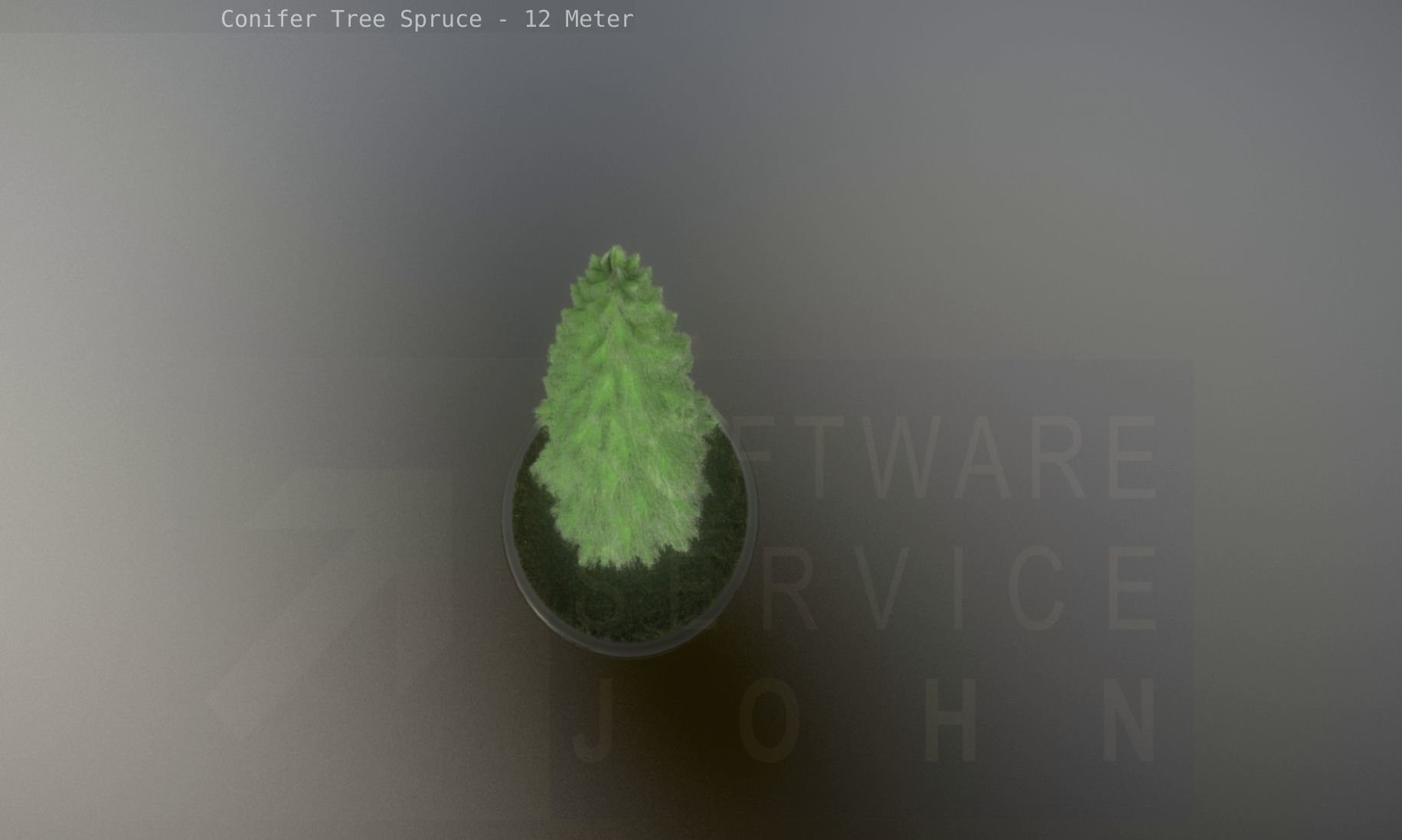 Conifer Tree Spruce - 12 Meter Low-poly 3D model_31