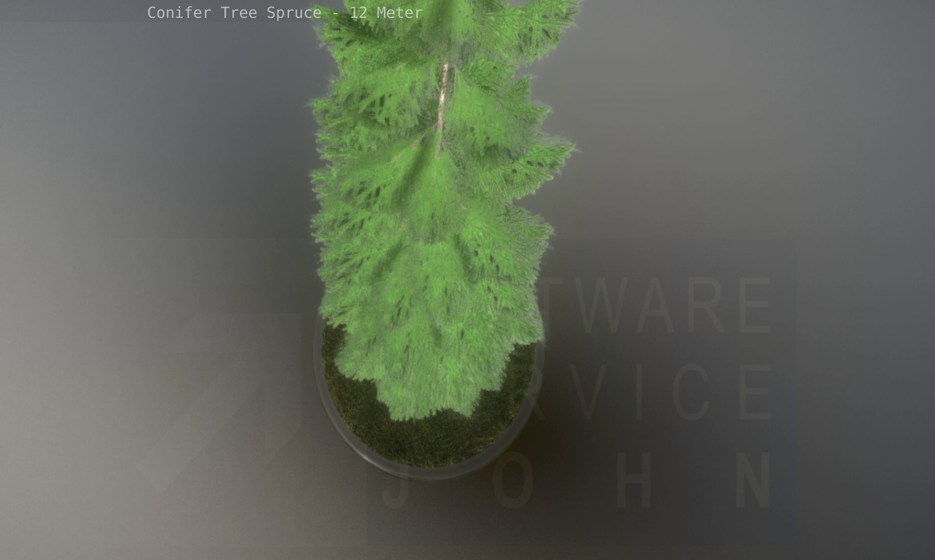 Conifer Tree Spruce - 12 Meter Low-poly 3D model_47