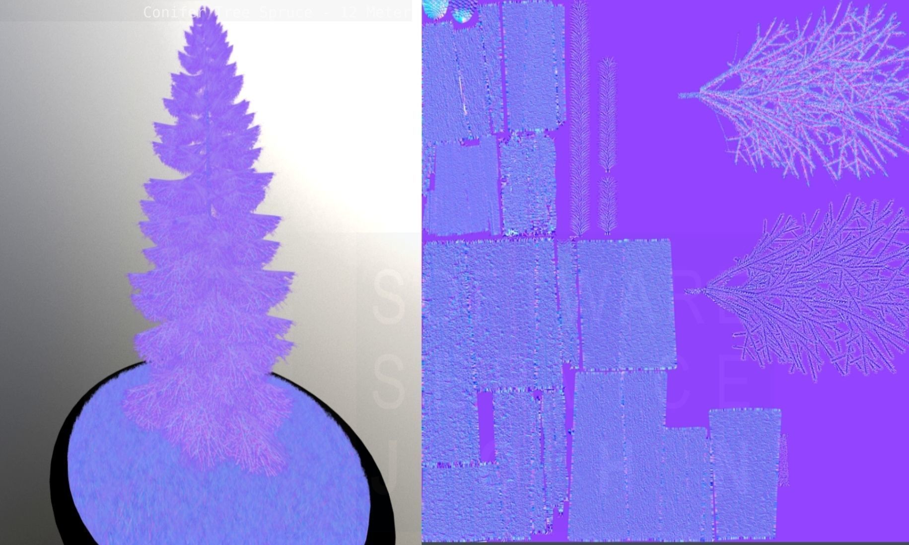 Conifer Tree Spruce - 12 Meter Low-poly 3D model_3