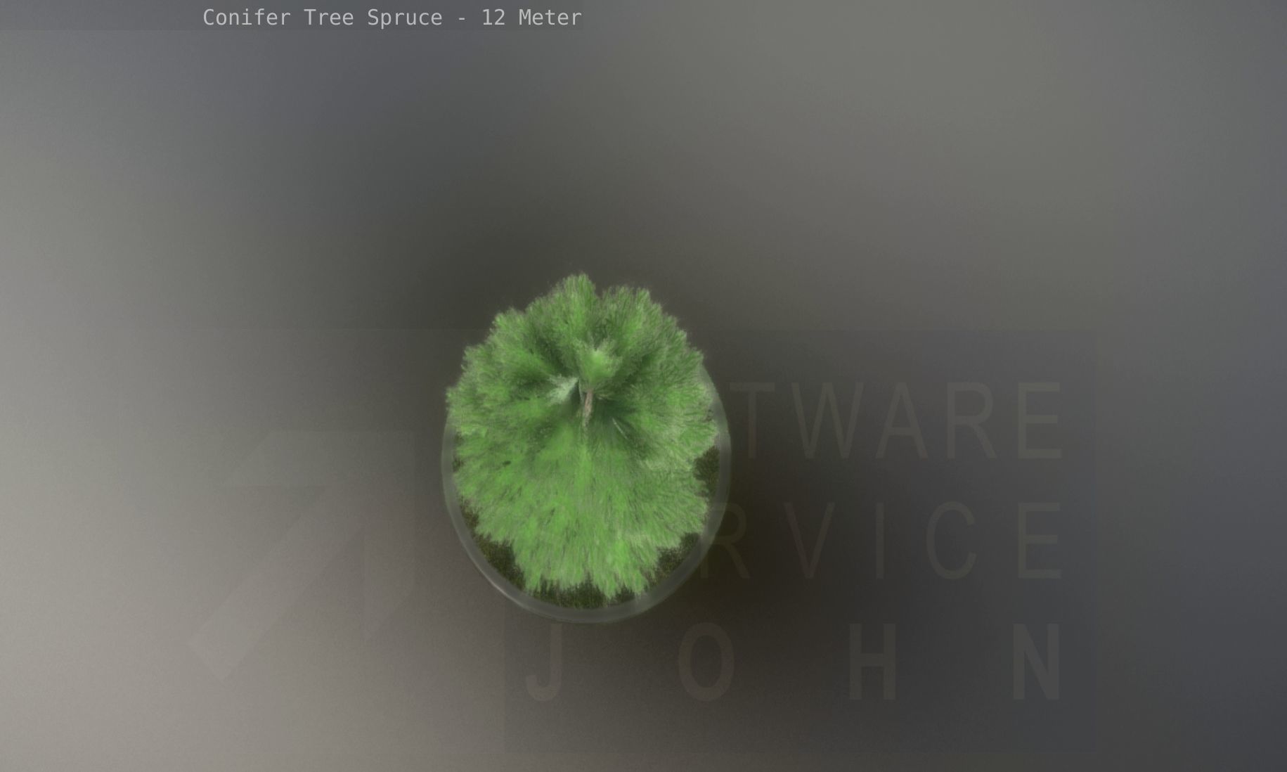 Conifer Tree Spruce - 12 Meter Low-poly 3D model_89