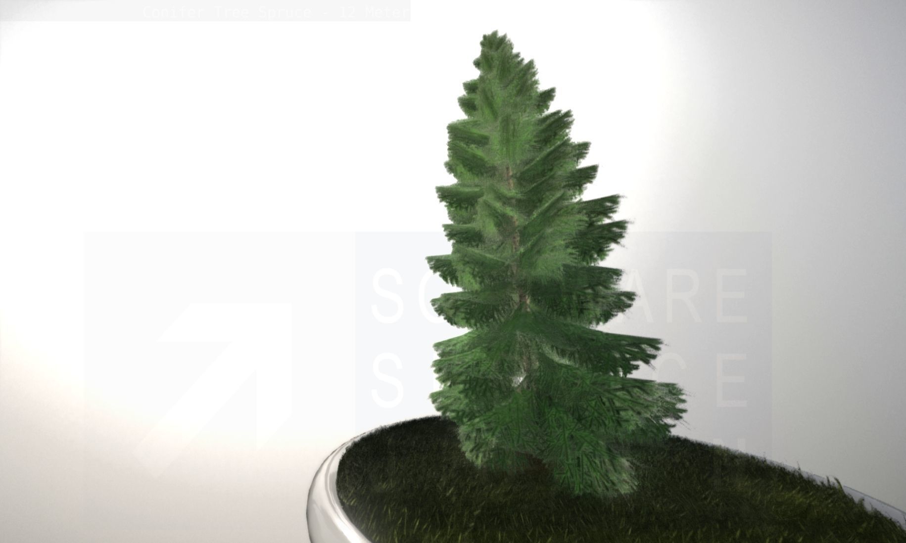Conifer Tree Spruce - 12 Meter Low-poly 3D model_95